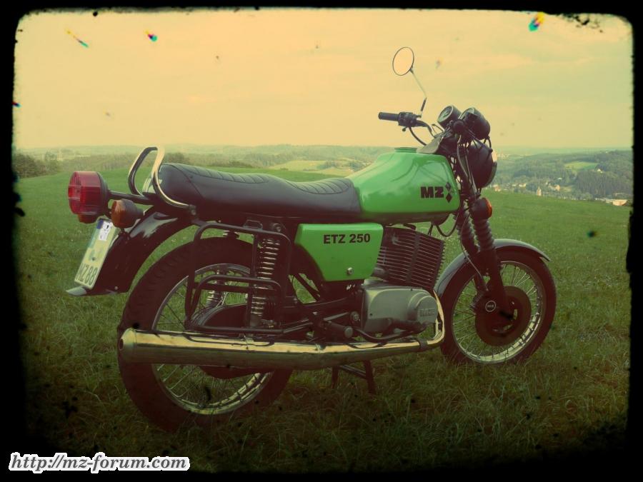 Emme Anno88